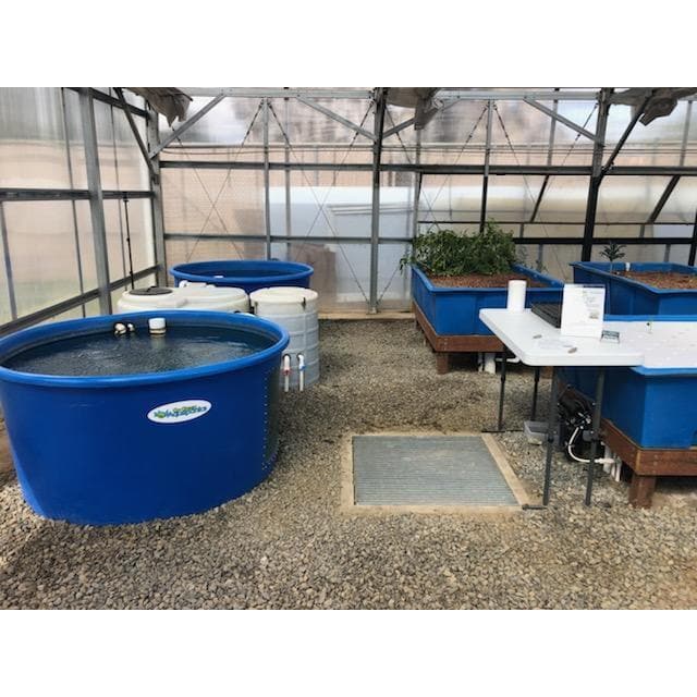 A greenhouse with two blue tubs in it, showcasing the Go Green Aquaponics system during the Private Escondido Aquaponics System Tour event.