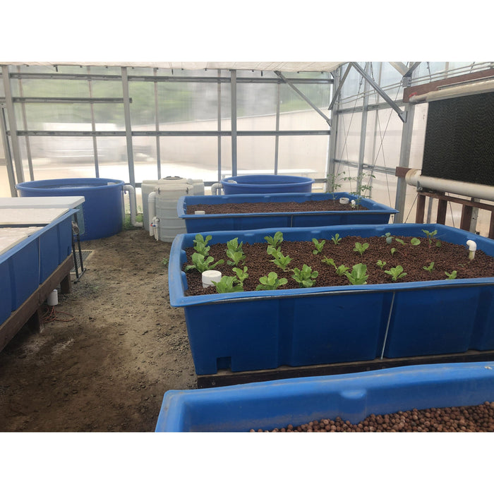 Go Green Aquaponics offers a Private Escondido Aquaponics System Tour in a greenhouse for a tour event.