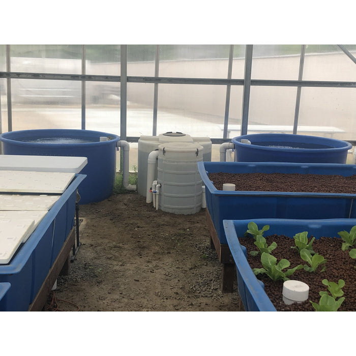 Explore a Private Escondido Aquaponics System Tour in a greenhouse with blue containers during a special Go Green Aquaponics tour event.