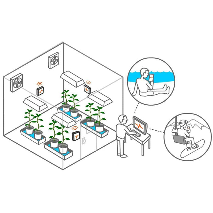 An illustration of a room with plants and a person working on a laptop, while TAS's Pulse One WiFi Connected Environmental Monitor Sensors gather data on the pulse and environmental conditions.