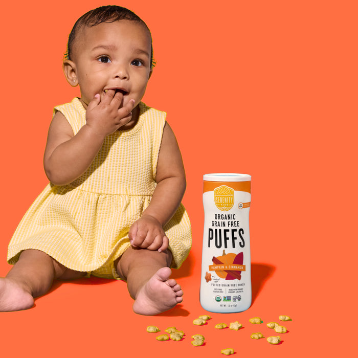 Pumpkin & Cinnamon Organic Grain Free Puffs, No Sugar