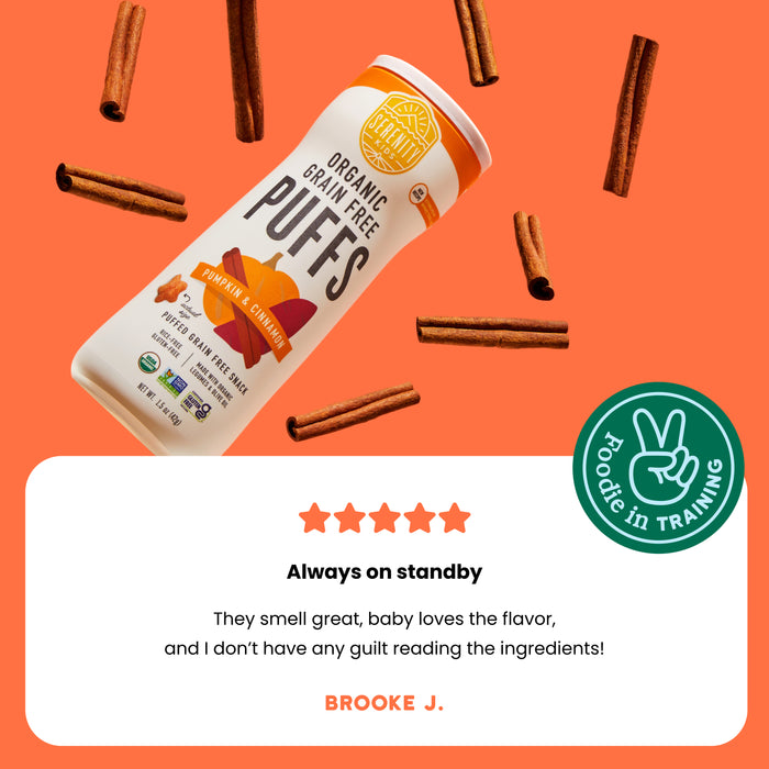 Pumpkin & Cinnamon Organic Grain Free Puffs, No Sugar
