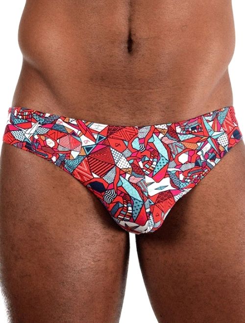 Red Geometrics Brief
