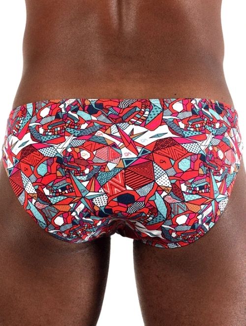 Red Geometrics Brief