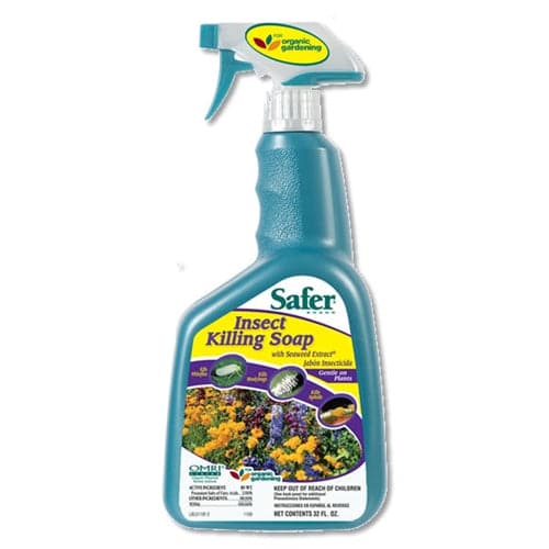 Safer Insect Killing Soap with Seaweed Extract – 32 oz - Aquaponics For Life