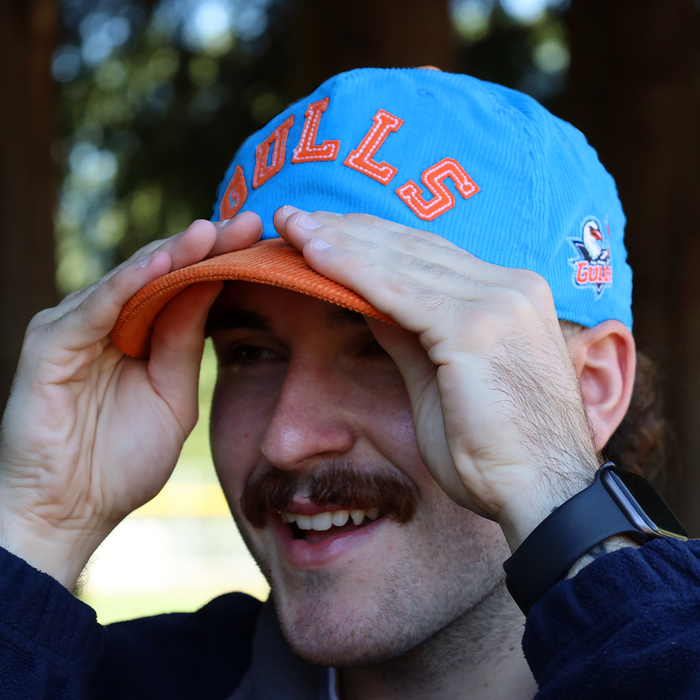 [ san diego gulls ] icy blue - Official League