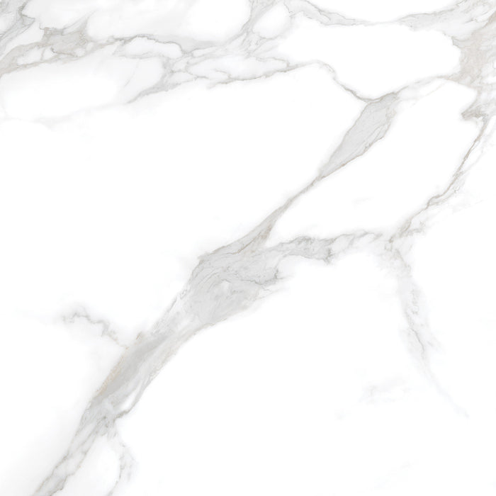 Silver Moon 24x24 Polished Marble Look Porcelain Tile