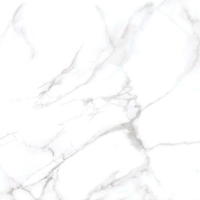 Silver Moon 24x24 Polished Marble Look Porcelain Tile