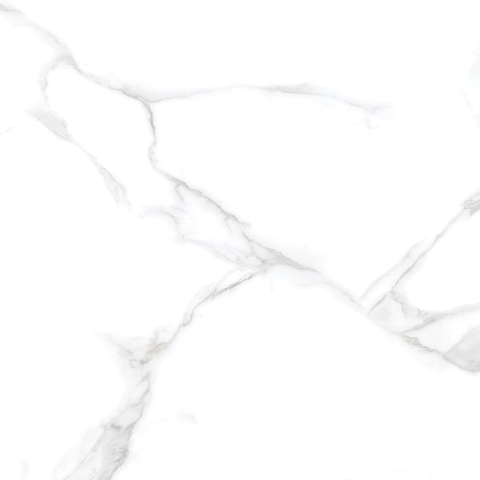Silver Moon 24x24 Polished Marble Look Porcelain Tile