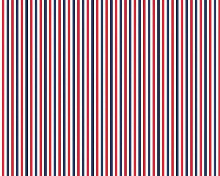 Stripes C495-PATRIOTIC by Riley Blake