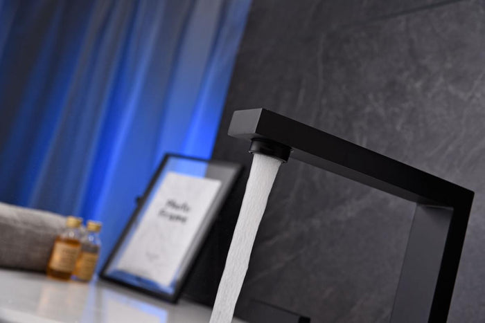 Two-Handle Bathroom Faucet 06139B - Matte Black