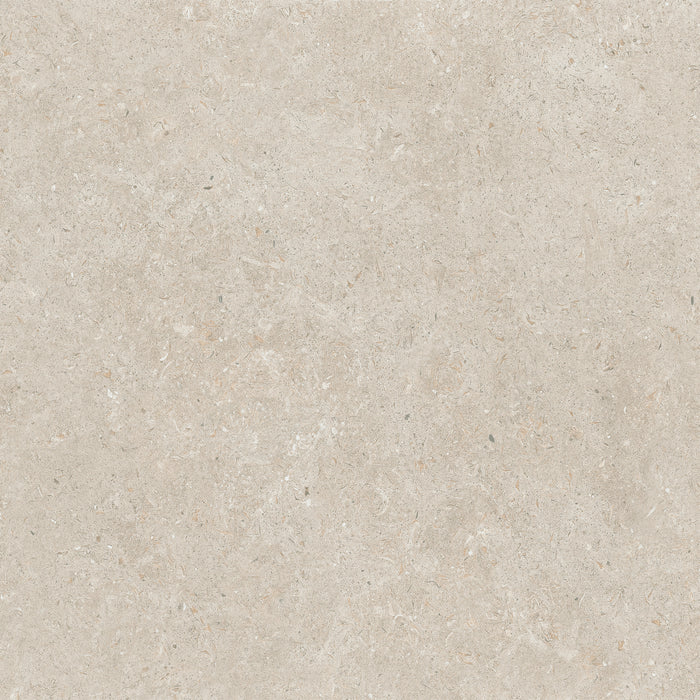 24x24 Matte Porcelain Floor Tile