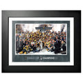 Vegas Golden Knights 12”x16” Framed Sign - Stanley Cup Champions Photo