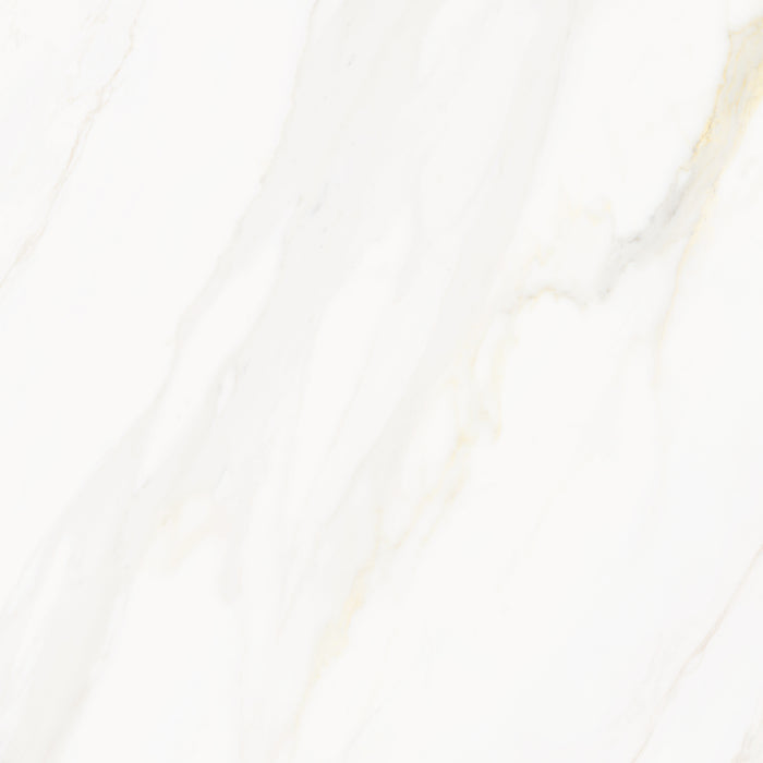 Venus Alpe AC 24x24 Textured Marble Look Porcelain Tile