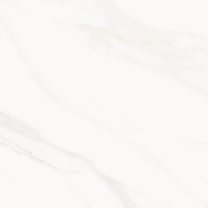 Venus Alpe AC 24x24 Textured Marble Look Porcelain Tile