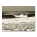 Watching Them Grow' Wrapped Canvas Wall Art
