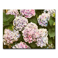 Where I Stood' Wrapped Canvas Wall Art