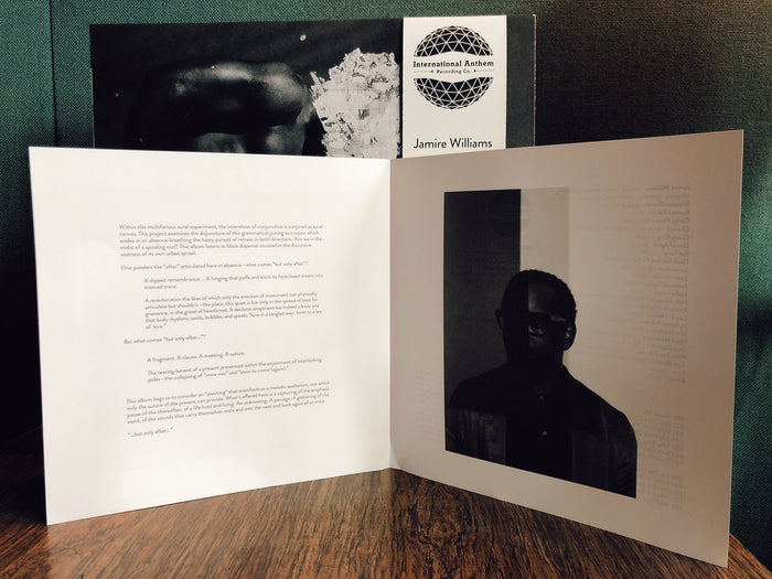 Williams, Jamire -  But Only After You Have Suffered [MARKED DOWN] - New LP