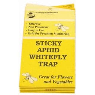 Yellow Sticky Traps for Aphids and Whitefly – 5 Pack - Aquaponics For Life